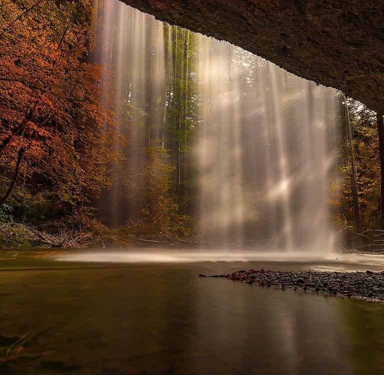 Discover how ecotherapy — the healing practice of connecting with nature — can reduce stress, anxiet