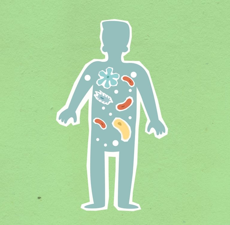 The Microbiome Revolution: How Your Gut Became the Body’s Second Brain