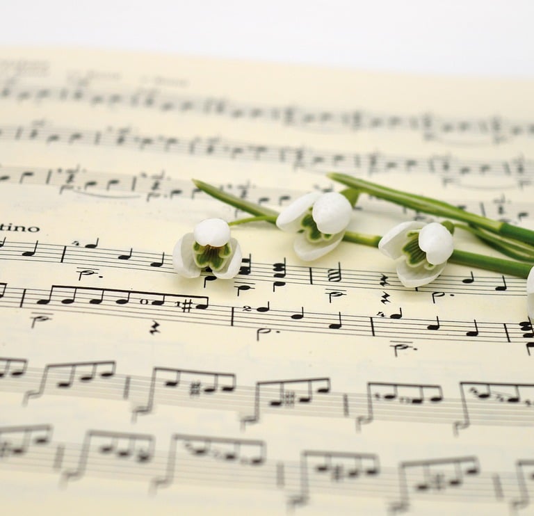 The Rhythm of the Mind: How Music Shapes Your Brain Chemistry and Mood