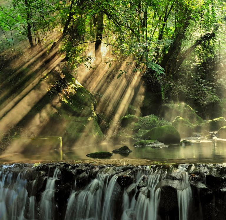 The World’s Most Biodiverse Regions: Exploring Earth’s Living Treasures and Why They Matter