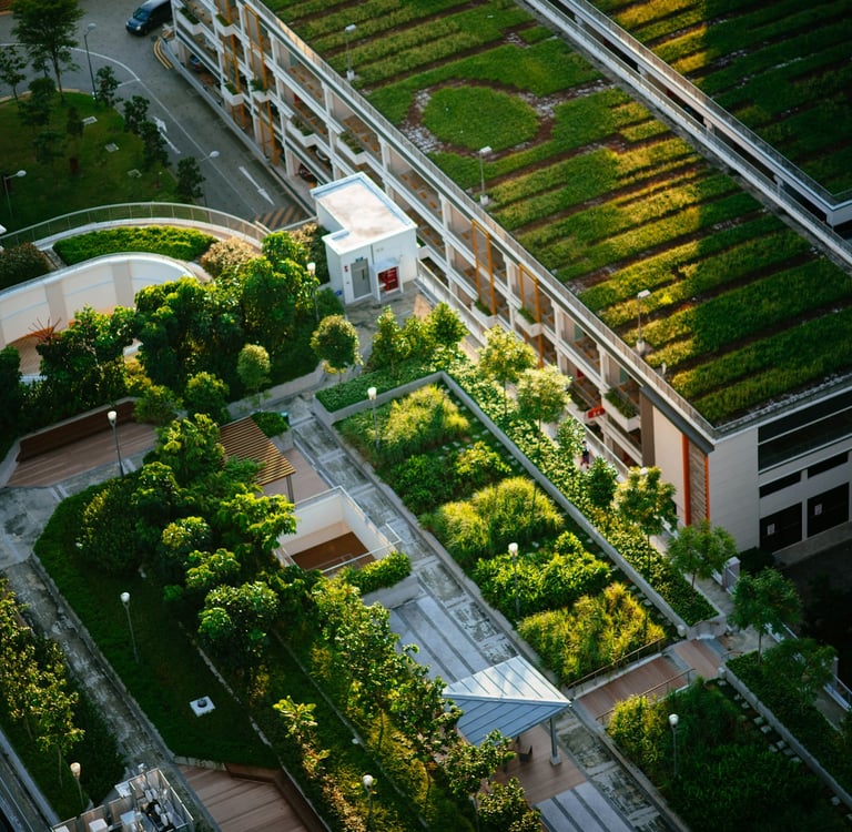 Urban Gardens: How Green Spaces Are Transforming City Ecosystems