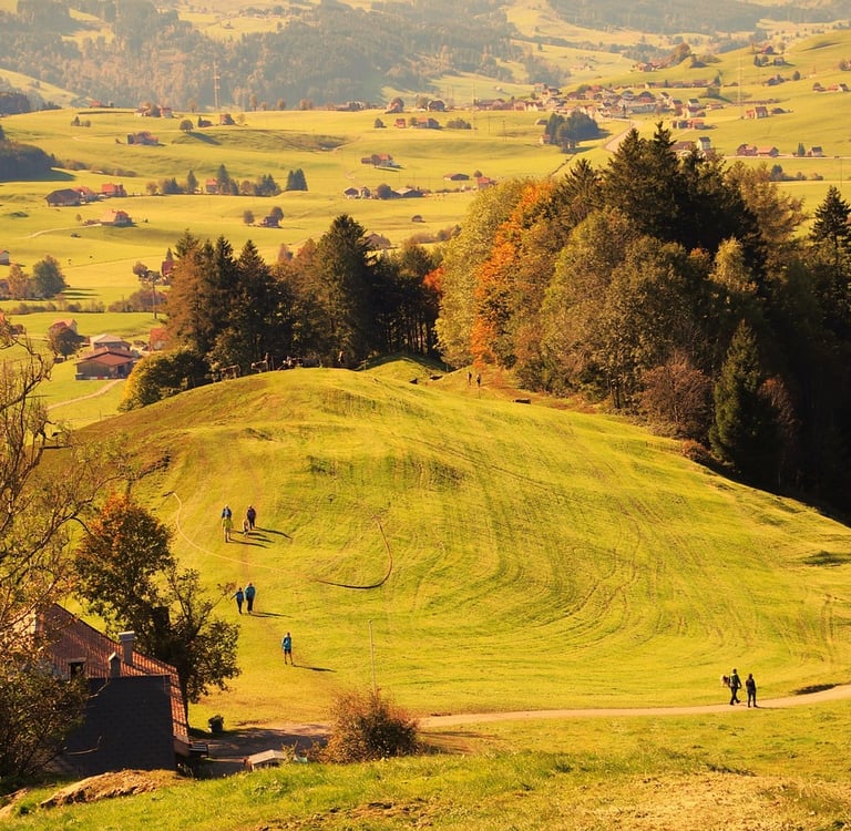 Walking Into Wellness: How Nature Heals the Mind, Body, and Soul