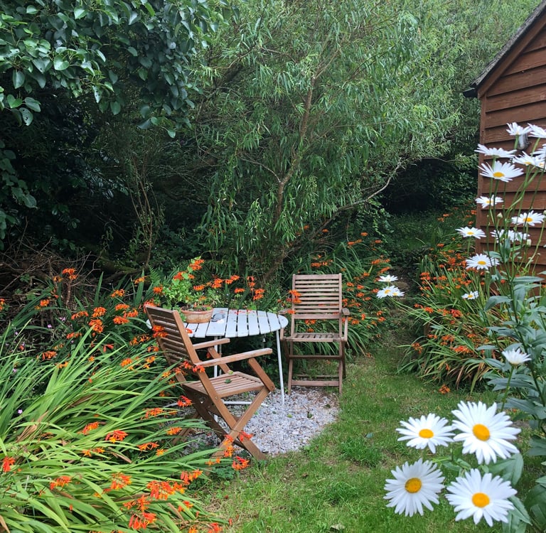 2 garden chairs around a table in a garden with orange flowers and white daisies
