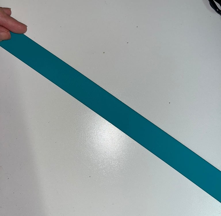 Farbmuster Biothane in Teal, Leine, Halsband, Maulkorb