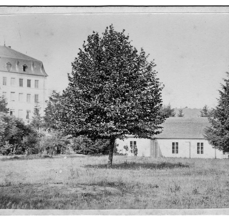 galerie en bois (photograph Martin-Bichain)
