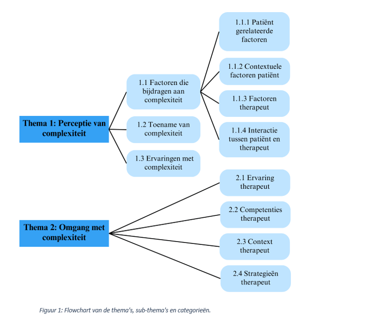 Masterthesis master fysiotherapie