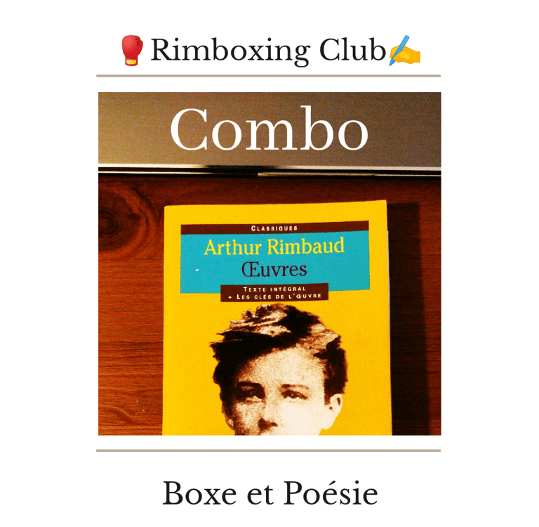 Transformer la littérature en boxe et en kata d'arts martiaux