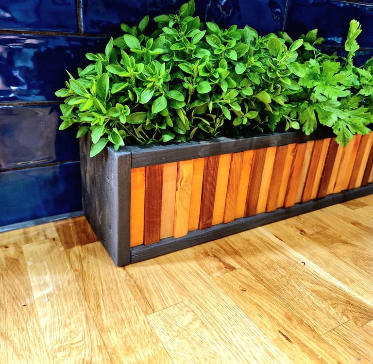 Herb planter DECORATIVE PLANTER POT HERB CATCUS CACTI SUCCULENT MINI GARDEN PLAN POT TIDY ORGANISER DESIGNER POT NARROW LONG 