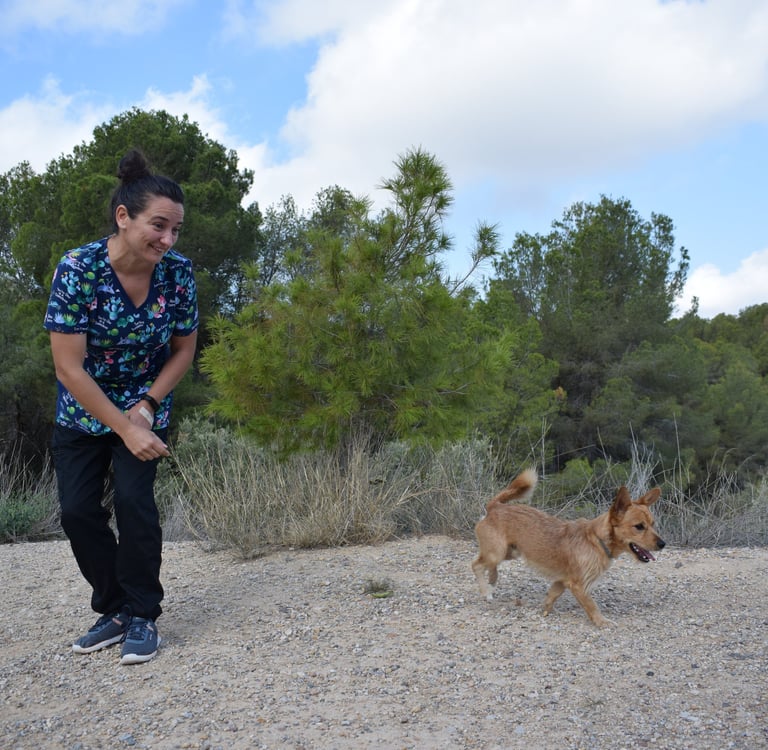 Chica jugando con un perro