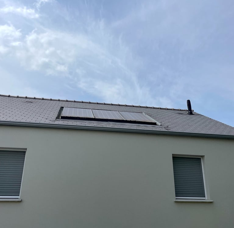 Panneaux solaires encrassés par mousse et saletés avant nettoyage, perte de performance visible.