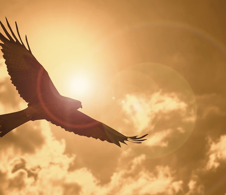 FERS Military options for pension