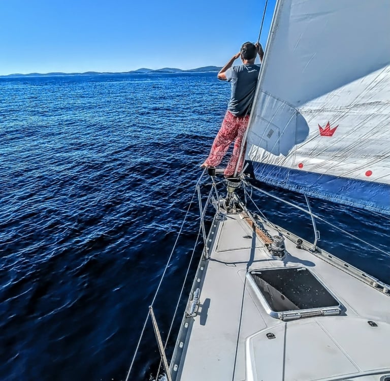 Alla ricerca di belle fuste