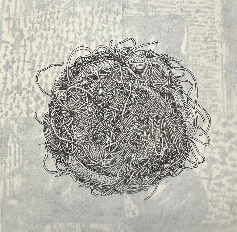 SEDIMENTA - Ink by Janet Griffen