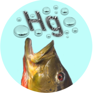logo projeto hg no pescado