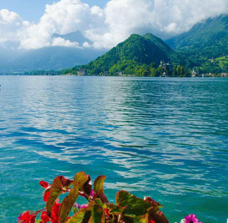 séjour avec son chien ou son chat dans le Jura