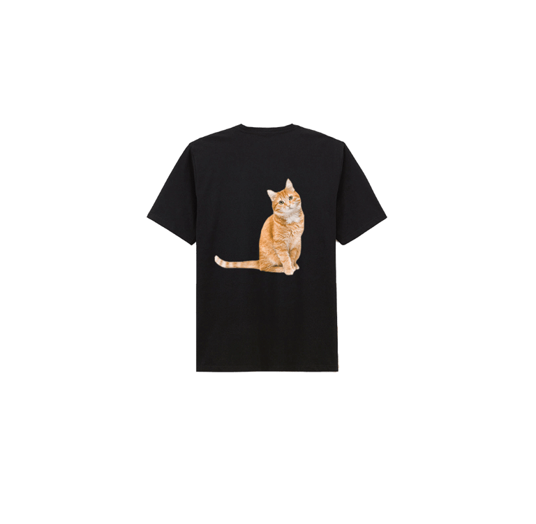 deuxième exemple de tshirt floqué
