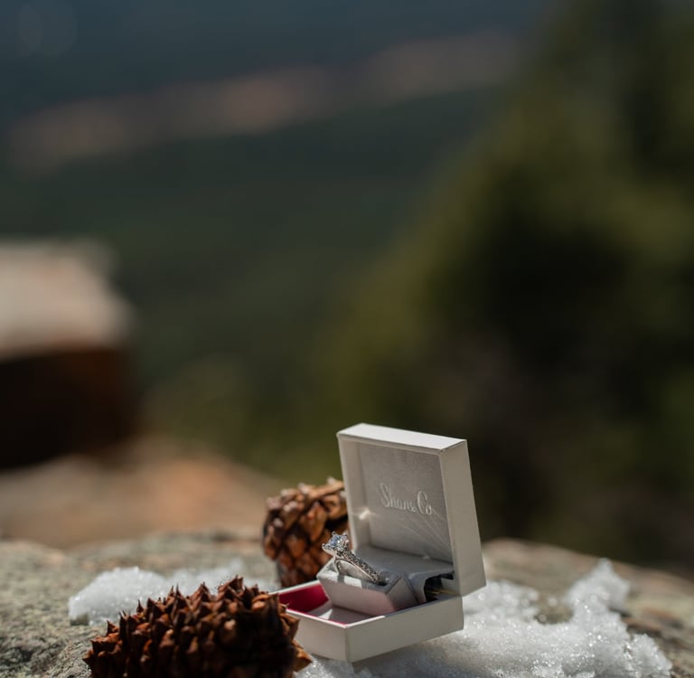 a ring bearer box with a ring on top of a rock