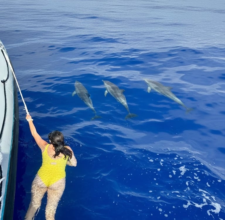A person in a yellow swimsuit swimming in the ocean next to three dolphins near a boat.