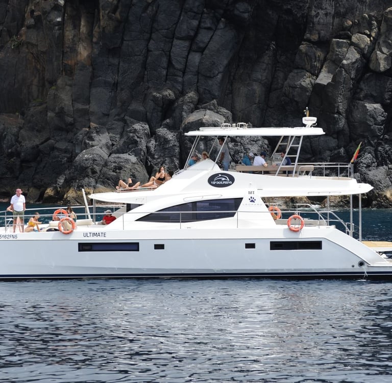 A coastal cruise in Madeira, Portugal, featuring the VipDolphins luxury boat near steep, rocky ocean cliffs.
