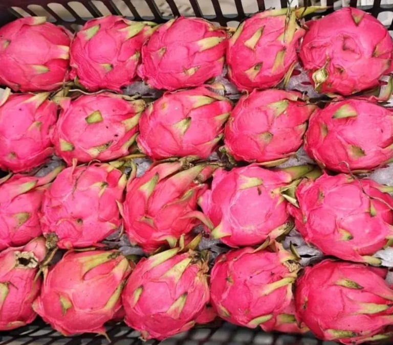 how to tell if dragon fruit is ripe