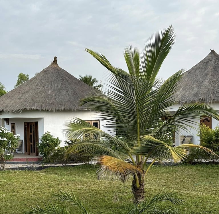 A scenic view of Tanema Creek in Brufut, featuring a tranquil waterway lined with lush mangrove fore