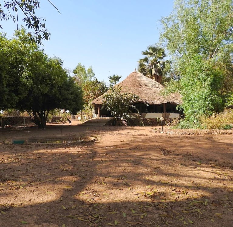 A serene eco-lodge nestled in the lush greenery of Campement de Wassadou, featuring traditional that