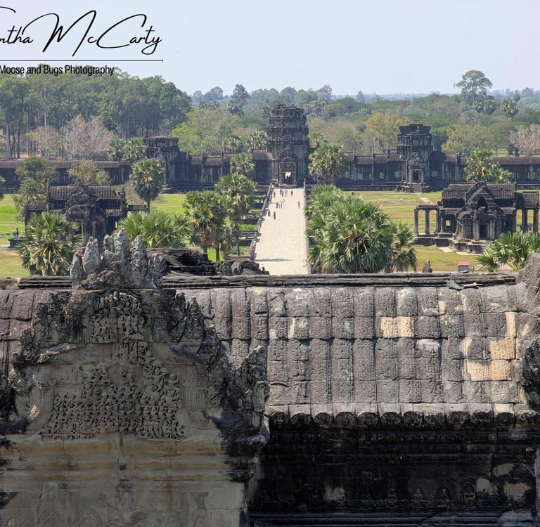 a view of Angkor Wat from the top of the temple