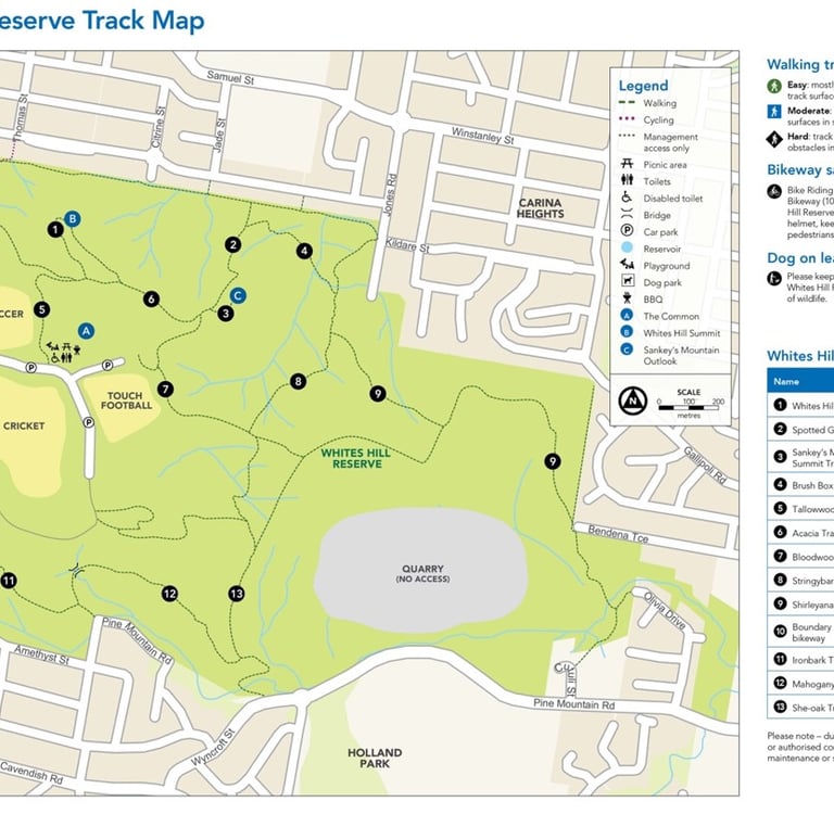 A walking track map of Whites Hill Reserve
