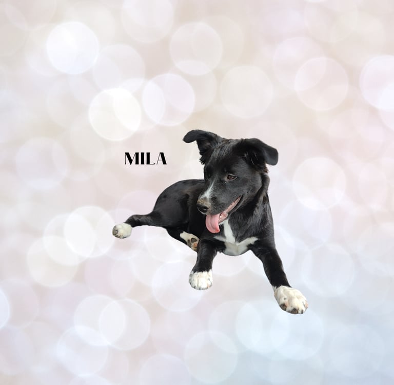 Reiki student in training