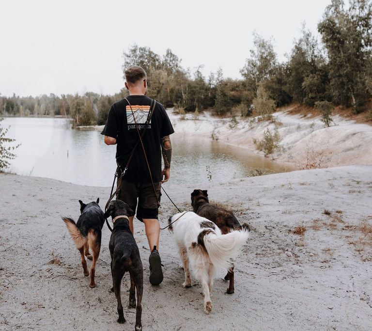 Basti Matern beim Social Walk