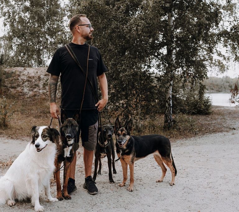 Basti Matern Hundetrainer aus Merseburg mit seinen Hunden