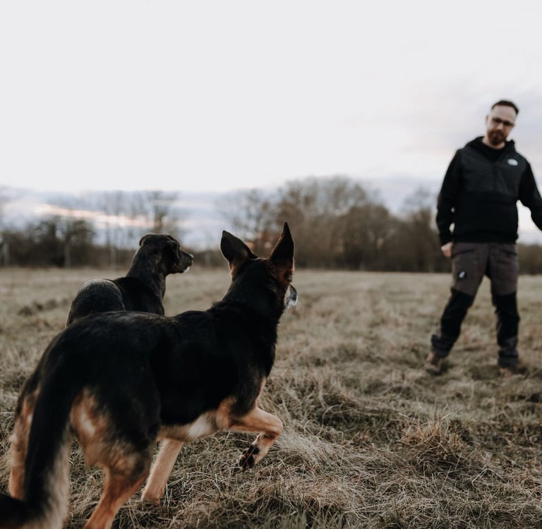 Basti Matern beim Hundetraining in Merseburg