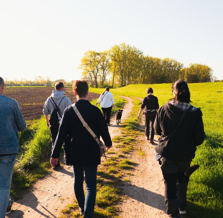 Geführter Gruppenspaziergang mit Hunden in Merseburg – Social Walk von Basti Matern Hundetraining.