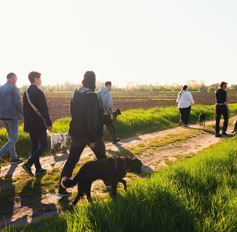 Hundetrainer Basti Matern begleitet Mensch-Hund-Teams beim entspannten Social Walk in Merseburg.