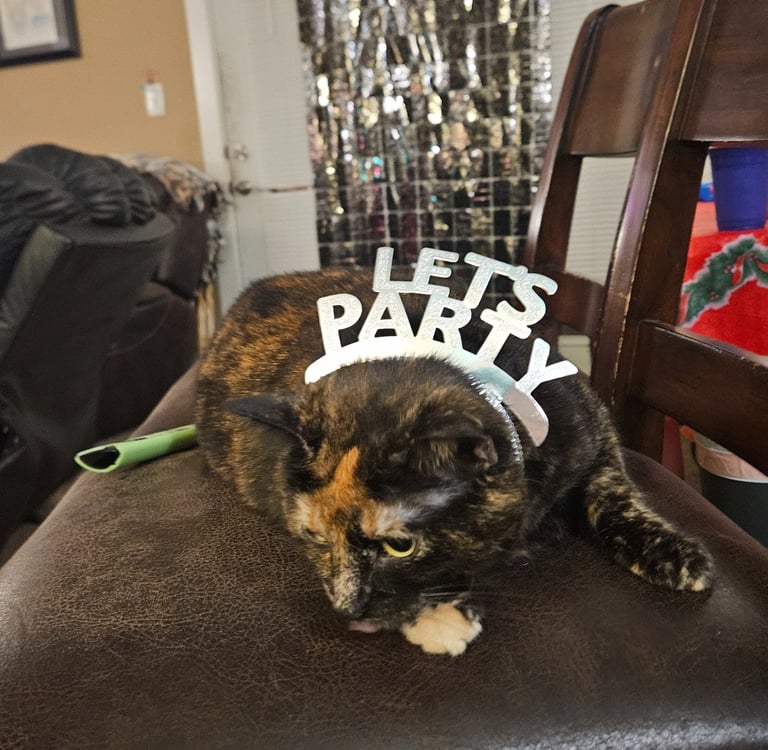A tortishell cat lays on a barstool with a headband that says 'Let's Party' in silver letters. 