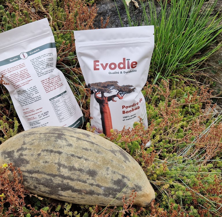 Fruit de baobab avec sachets de poudre Evodie
