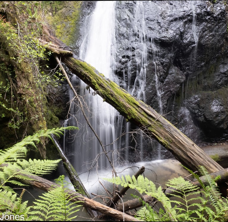waterfall in the redwoods of Mendocino County