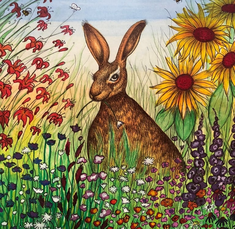 Sample picture of an illustration work linking to the illustrations collection.