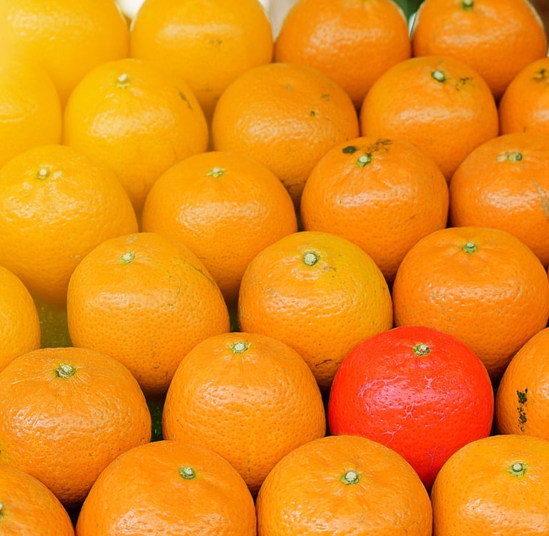 Alimentos saludables,sostenibles,nutraceuticos,eticos,personalizados,diferentes,innovación