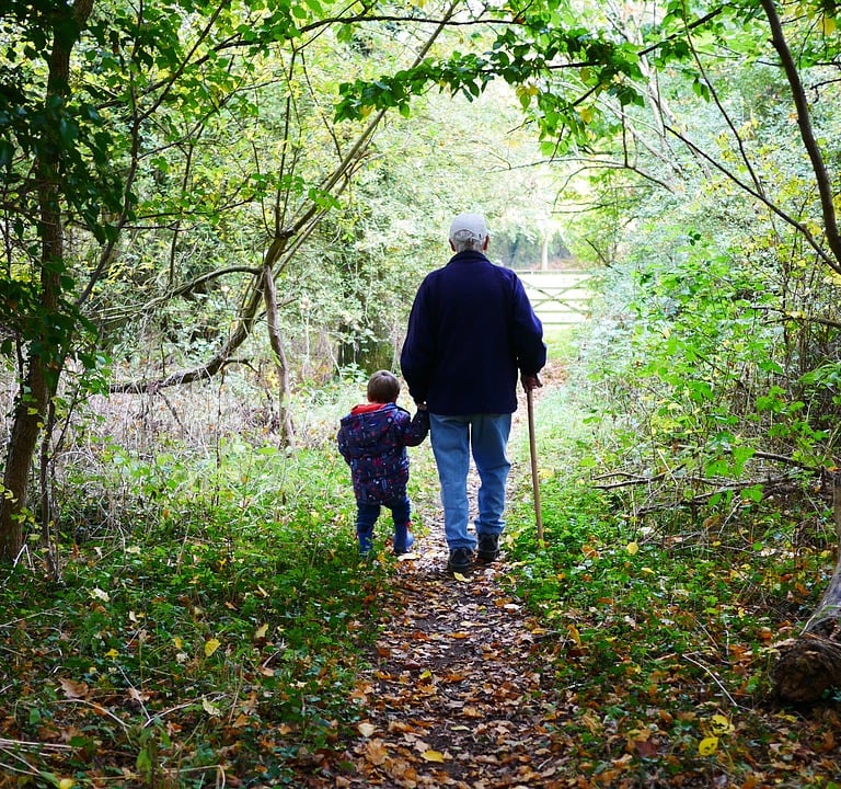 Grandfather and grandson in nature
