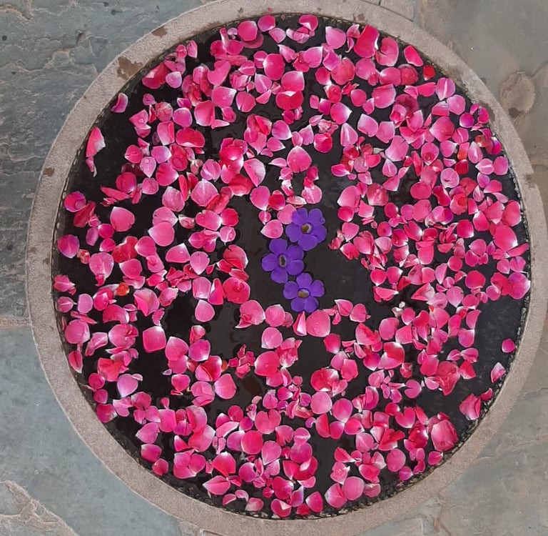 Integrale Yogische Psychologie – Ausbildung für eine neue Zeit-Jahr 1