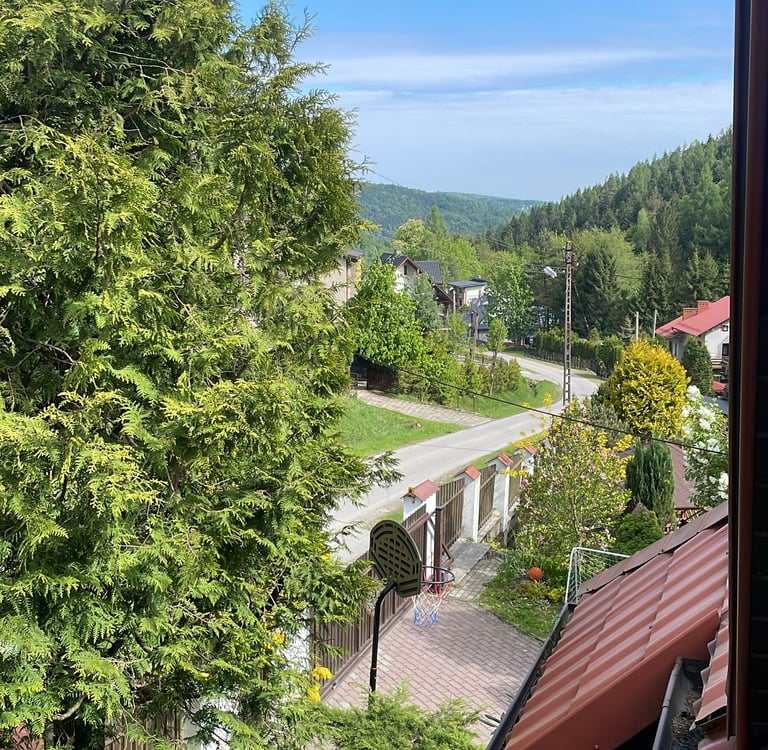 a beautiful view of trees close up and into the distance with a winding road in the centre