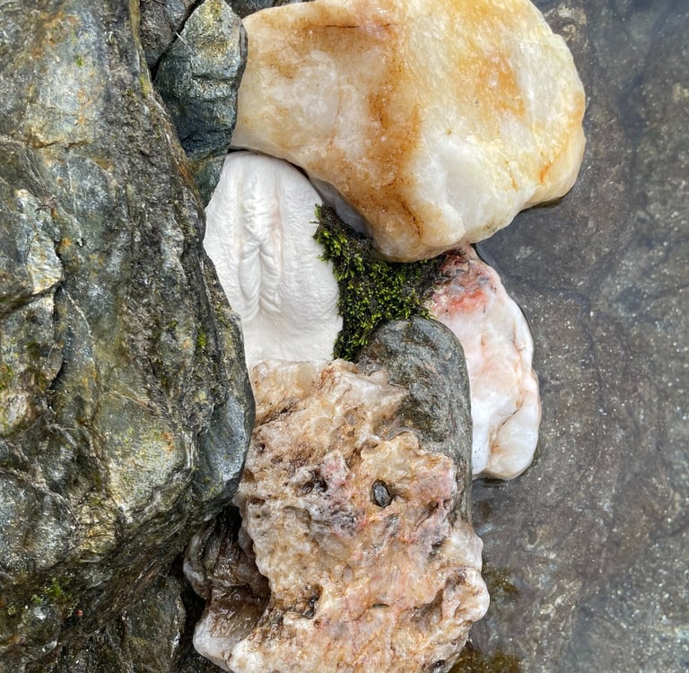 Vulve en plâtre dans fond nature - Moulage intime Bordeaux