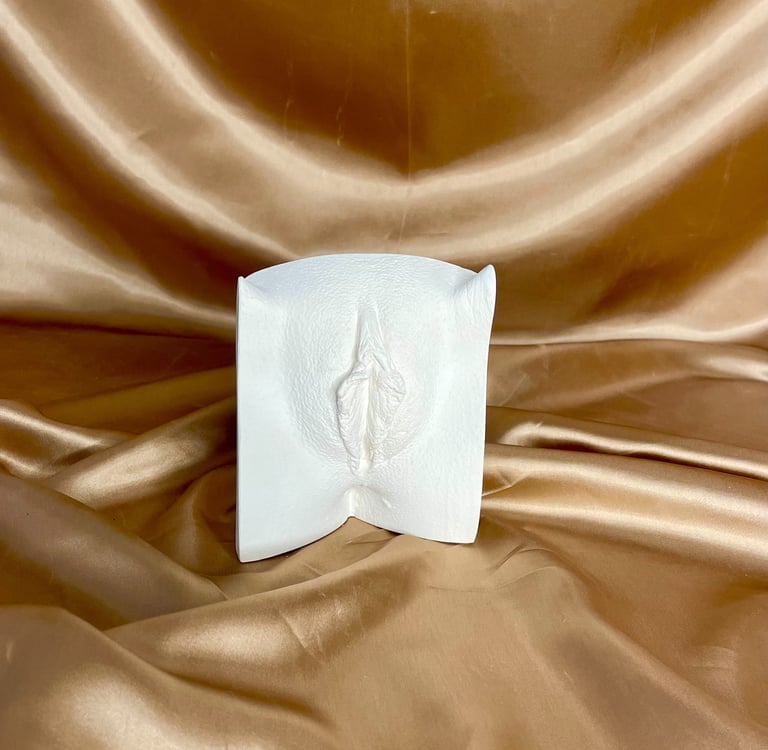 Vulve en plâtre posé sur fond doré - Moulage intime Bordeaux