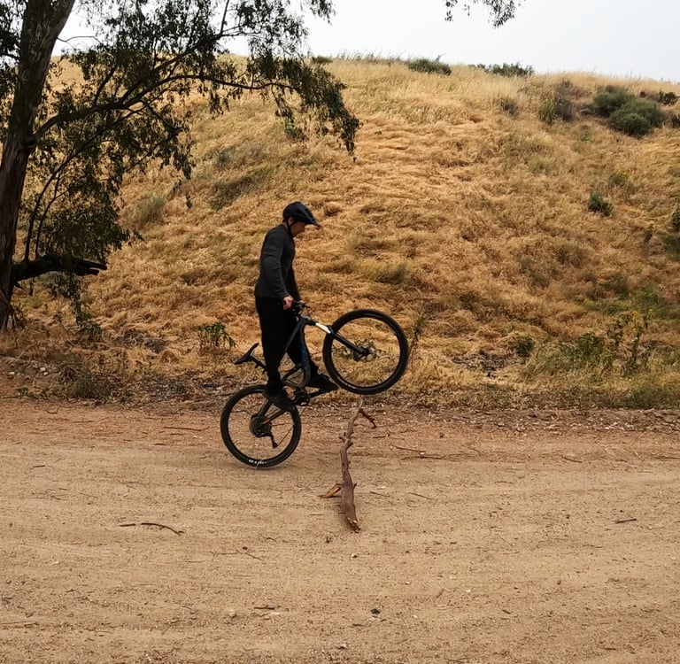 mountain biker lifting front wheel to bunnyhop over a log