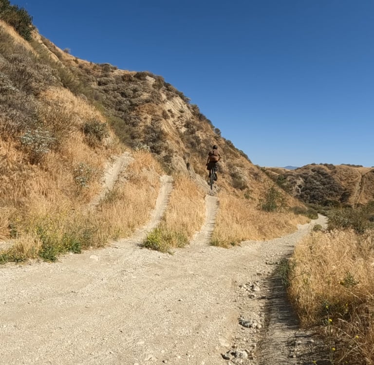mountain bike trail with numerous takeoff jumps for different skill level