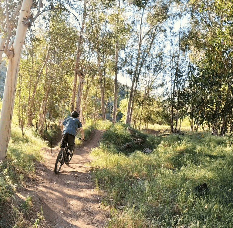 mtb rider approaching a jump