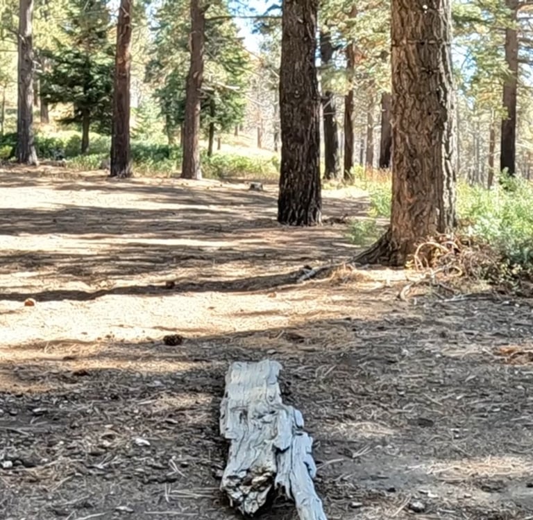 mountain biker approaching a bump jump