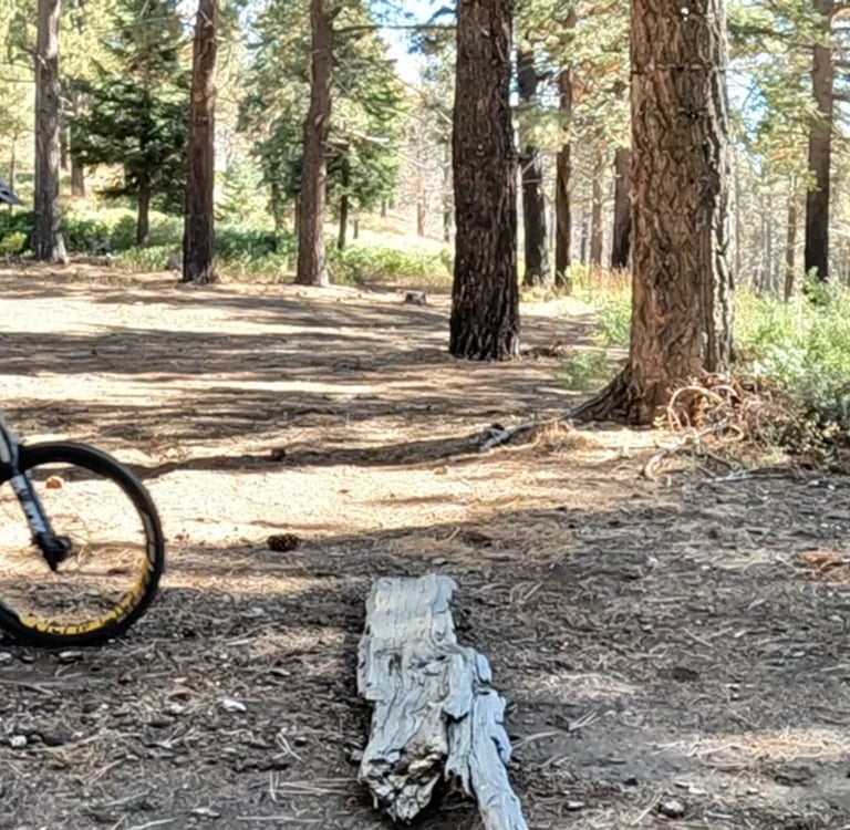 mountain biker preloading body to do the bump jump technique