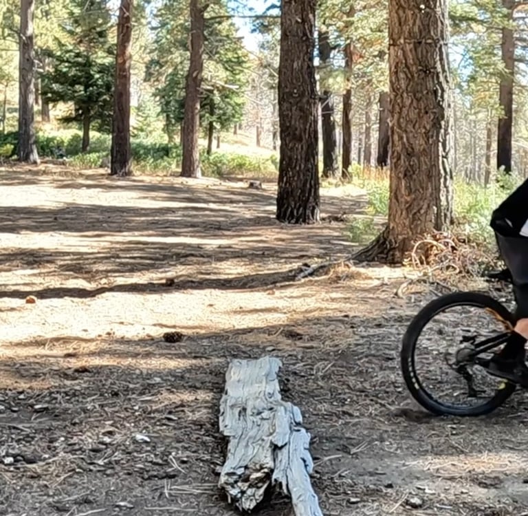landing after a bump jump on a mountain bike